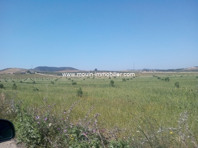 Vente&nbsp;Terrain&nbsp;BOUFICHA&nbsp;TUNISIE&nbsp;&nbsp;