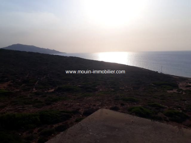 Vente Terrain CAP SERRAT TUNISIE  