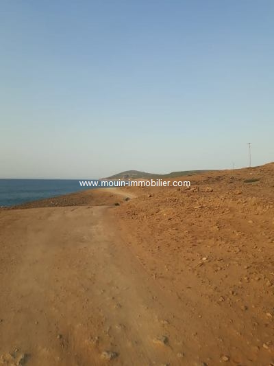Vente Terrain CAP SERRAT TUNISIE  