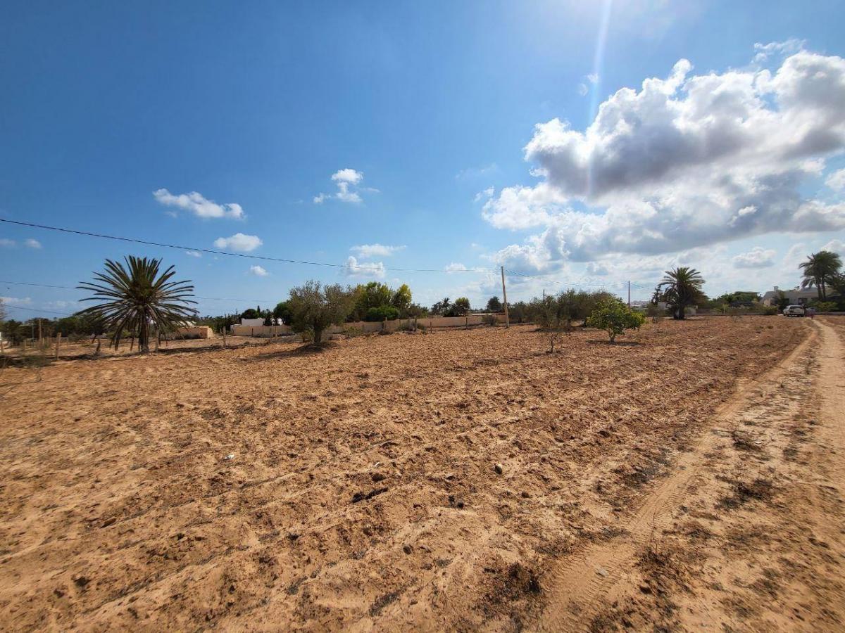 Vente Terrain DJERBA  TUNISIE  