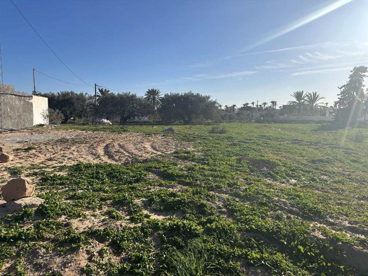 Vente Terrain DJERBA  TUNISIE  