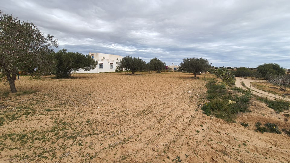 Vente Terrain DJERBA TUNISIE  
