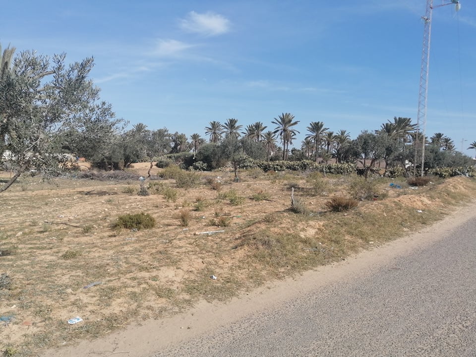 Vente Terrain DJERBA TUNISIE  