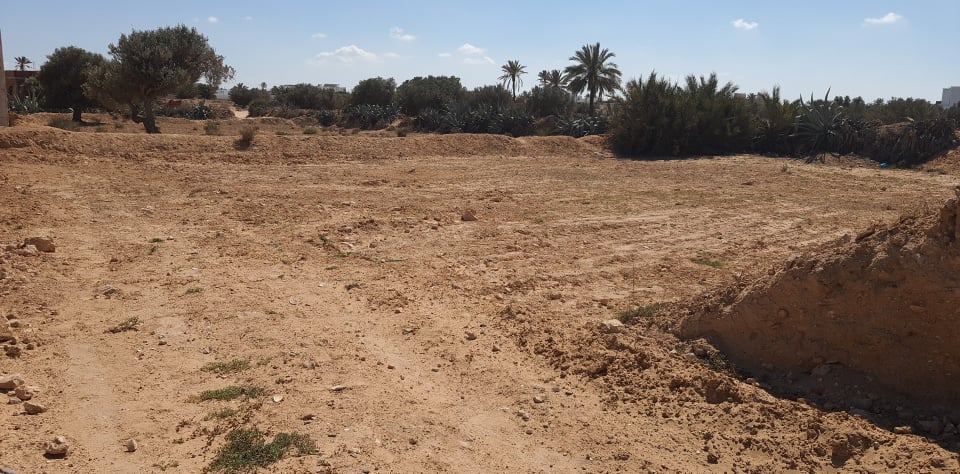 Vente Terrain DJERBA TUNISIE  