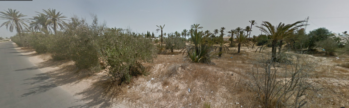 Vente&nbsp;Terrain&nbsp;DJERBA&nbsp;TUNISIE&nbsp;&nbsp;