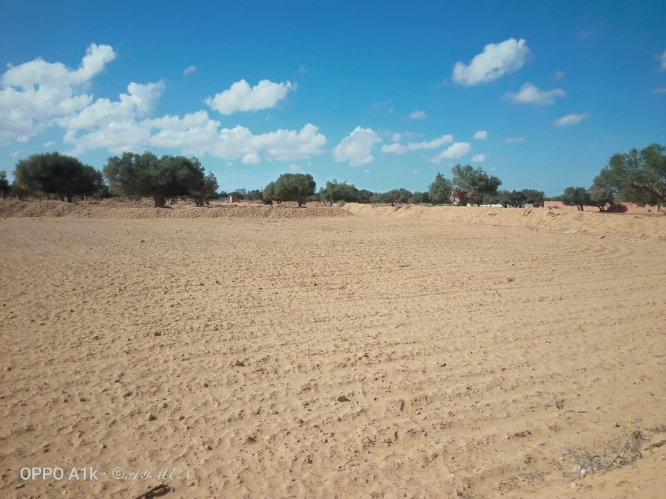 Vente&nbsp;Terrain&nbsp;DJERBA&nbsp;TUNISIE&nbsp;&nbsp;