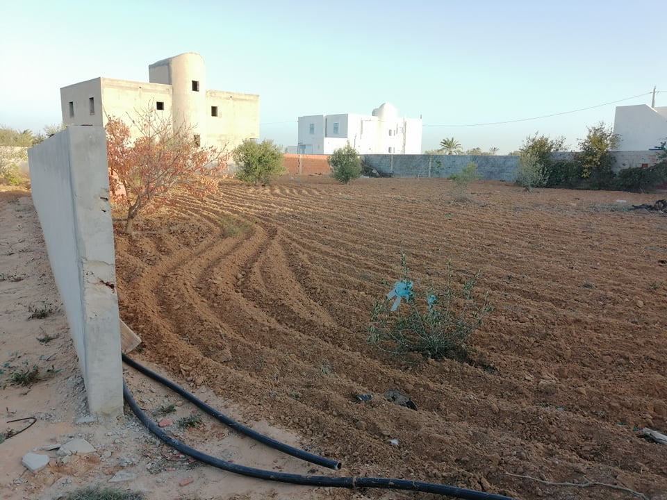 Vente Terrain DJERBA TUNISIE  