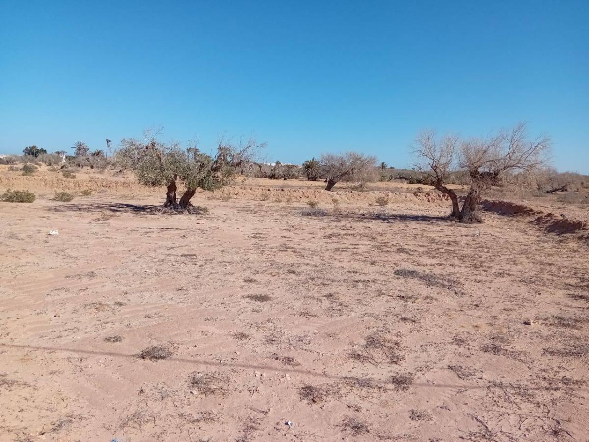 Vente Terrain DJERBA TUNISIE  