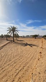 Vente Terrain DJERBA TUNISIE  