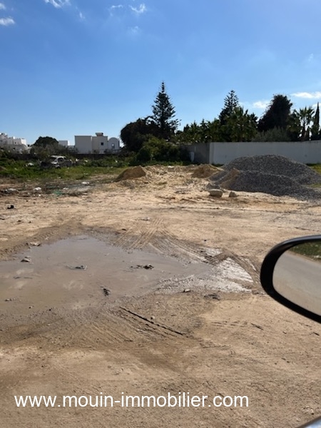 Vente Terrain HAMMAMET  TUNISIE  