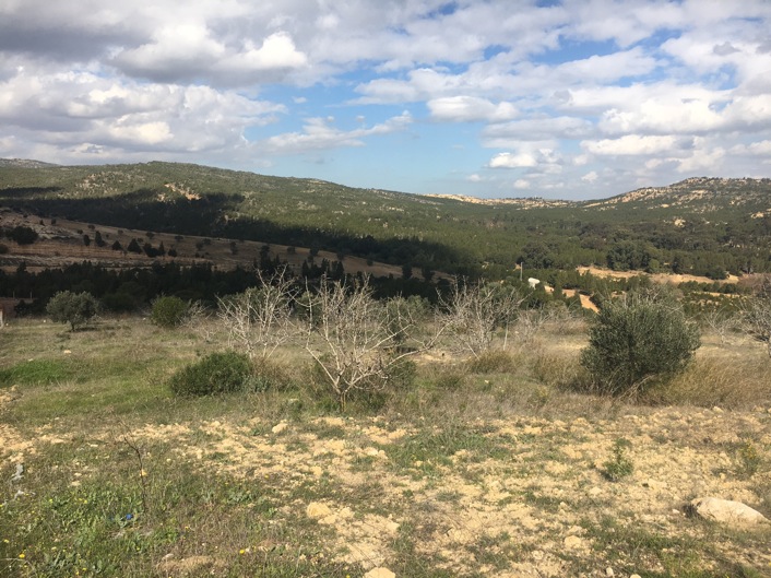 Vente&nbsp;Terrain&nbsp;HAMMAMET&nbsp;TUNISIE&nbsp;&nbsp;