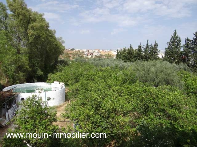 Vente&nbsp;Terrain&nbsp;HAMMAMET&nbsp;TUNISIE&nbsp;&nbsp;