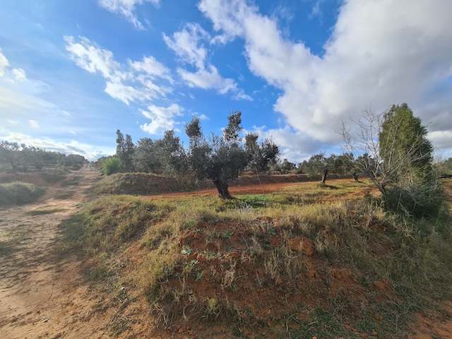 Vente Terrain HAMMAMET TUNISIE  