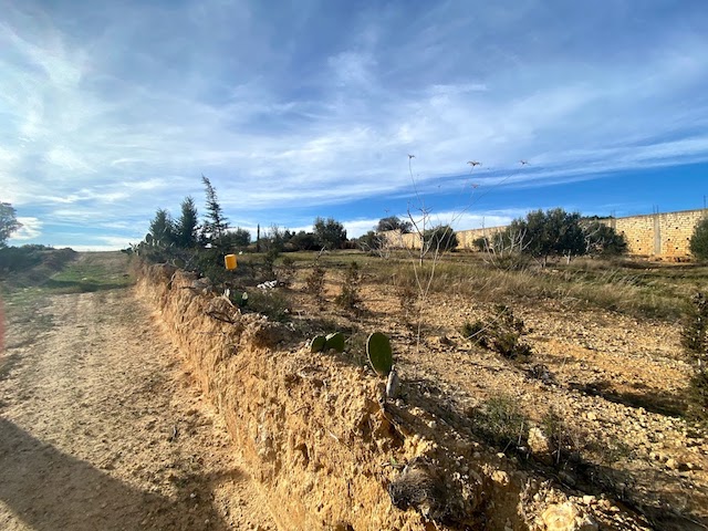 Vente&nbsp;Terrain&nbsp;HAMMAMET&nbsp;TUNISIE&nbsp;&nbsp;
