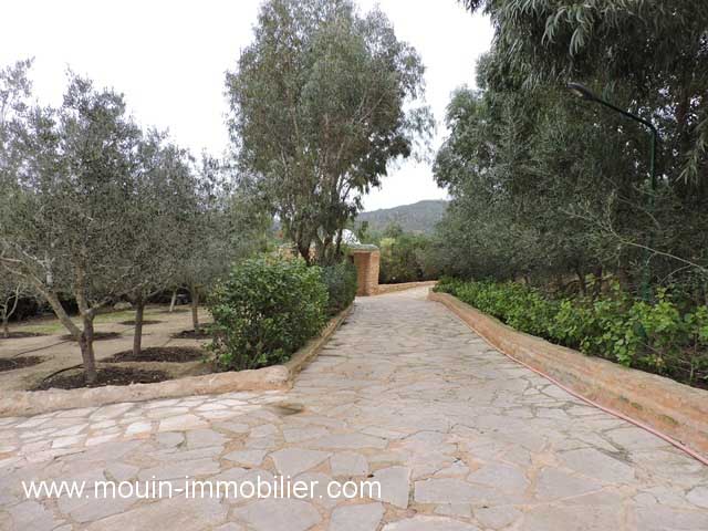 Vente Terrain HAMMAMET TUNISIE  