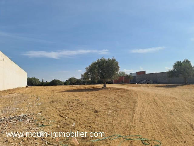 Vente&nbsp;Terrain&nbsp;HAMMAMET&nbsp;TUNISIE&nbsp;&nbsp;