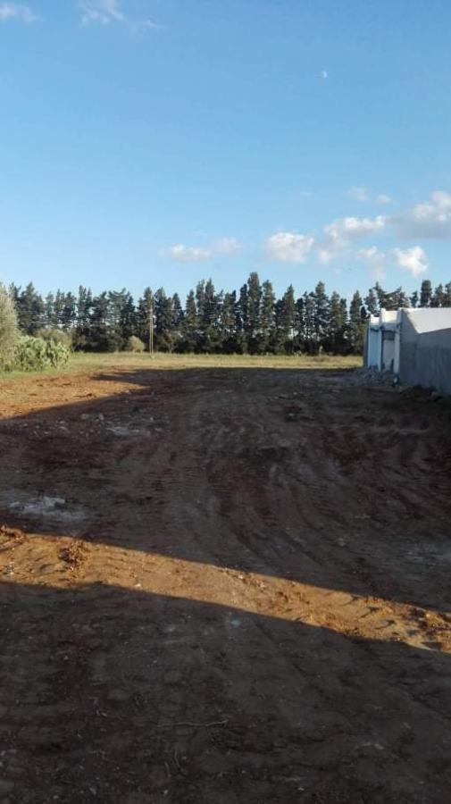 Vente&nbsp;Terrain&nbsp;HAMMAMET&nbsp;TUNISIE&nbsp;&nbsp;