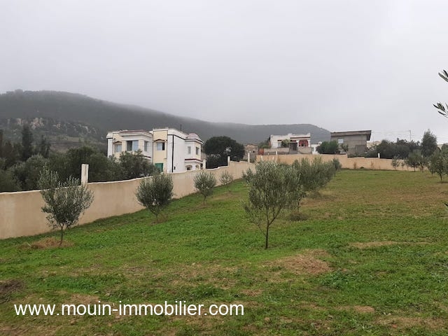 Vente&nbsp;Terrain&nbsp;HAMMAMET&nbsp;TUNISIE&nbsp;&nbsp;