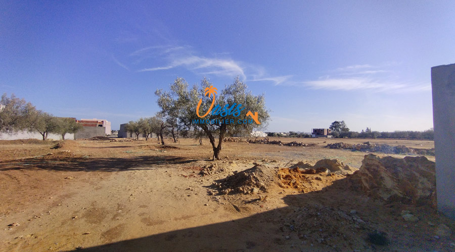 Vente Terrain HAMMAMET TUNISIE  