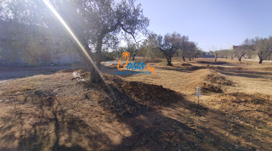 Vente Terrain HAMMAMET TUNISIE  