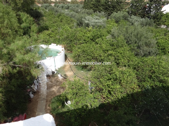 Vente&nbsp;Terrain&nbsp;HAMMAMET&nbsp;TUNISIE&nbsp;&nbsp;