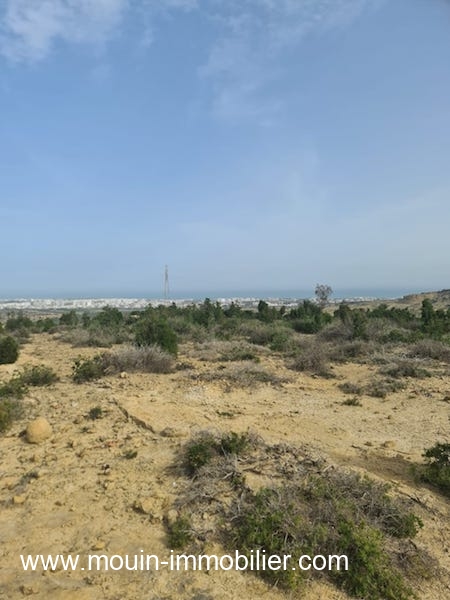Vente&nbsp;Terrain&nbsp;HAMMAMET&nbsp;TUNISIE&nbsp;&nbsp;