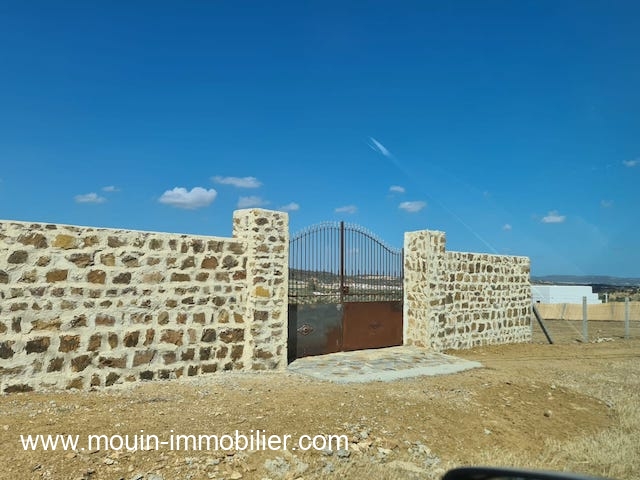 Vente Terrain HAMMAMET TUNISIE  