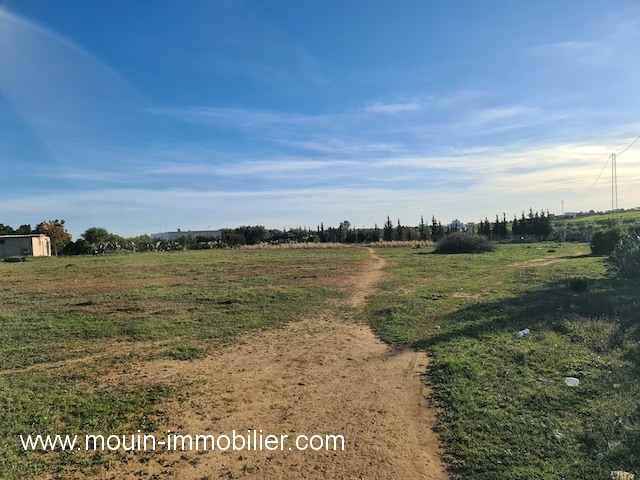 Vente Terrain HAMMAMET TUNISIE  