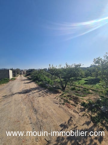 Vente Terrain HAMMAMET TUNISIE  