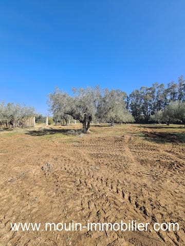Vente&nbsp;Terrain&nbsp;HAMMAMET&nbsp;TUNISIE&nbsp;&nbsp;