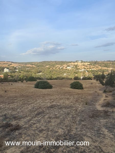 Vente&nbsp;Terrain&nbsp;HAMMAMET&nbsp;TUNISIE&nbsp;&nbsp;