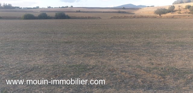 Vente&nbsp;Terrain&nbsp;HAMMAMET&nbsp;TUNISIE&nbsp;&nbsp;