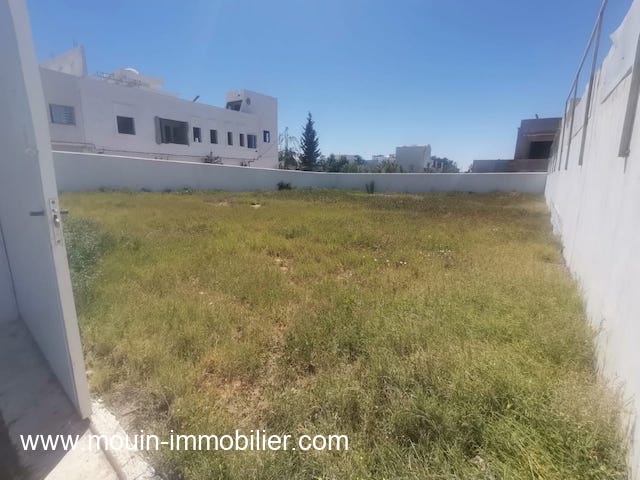 Vente&nbsp;Terrain&nbsp;HAMMAMET&nbsp;TUNISIE&nbsp;&nbsp;
