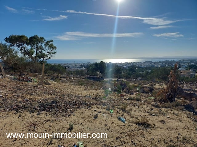 Vente&nbsp;Terrain&nbsp;HAMMAMET&nbsp;TUNISIE&nbsp;&nbsp;