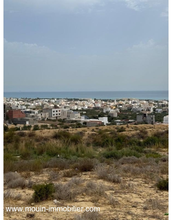 Vente&nbsp;Terrain&nbsp;HAMMAMET&nbsp;TUNISIE&nbsp;&nbsp;