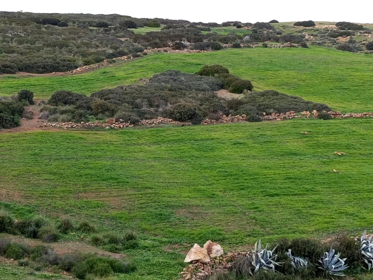 Vente Terrain HAMMAMET TUNISIE  