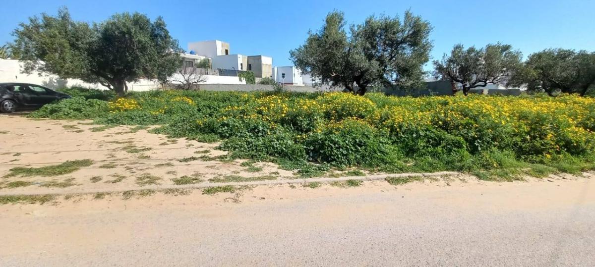 Vente&nbsp;Terrain&nbsp;HAMMAMET&nbsp;TUNISIE&nbsp;&nbsp;