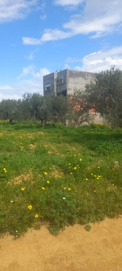 Vente&nbsp;Terrain&nbsp;HAMMAMET&nbsp;TUNISIE&nbsp;&nbsp;