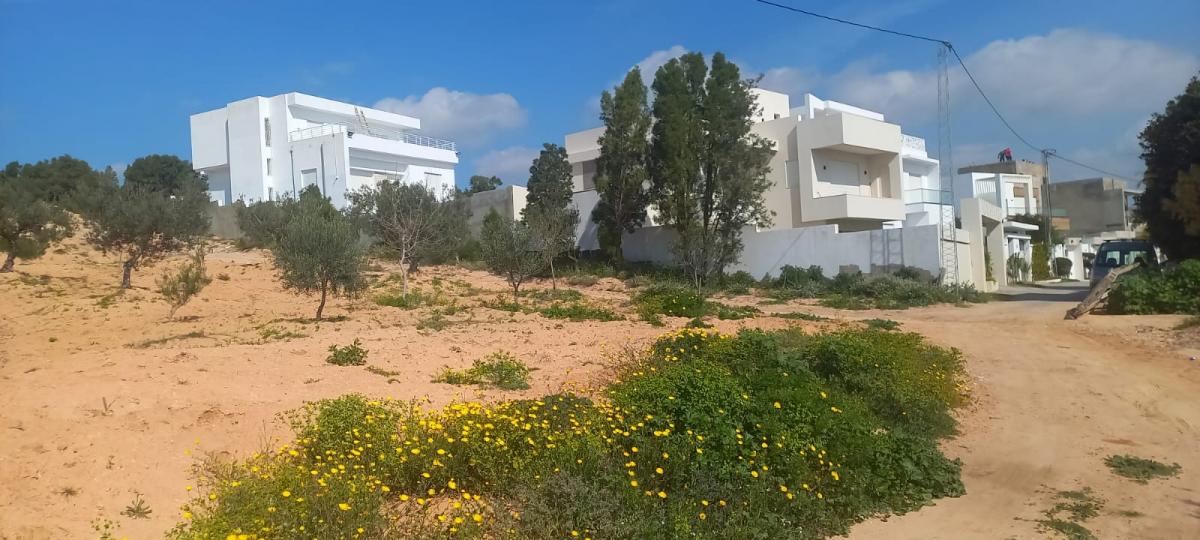 Vente&nbsp;Terrain&nbsp;HAMMAMET&nbsp;TUNISIE&nbsp;&nbsp;