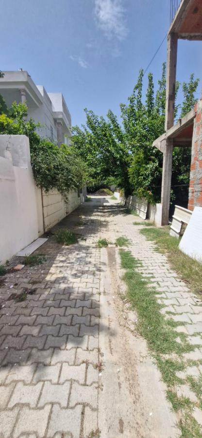 Vente&nbsp;Terrain&nbsp;HAMMAMET&nbsp;TUNISIE&nbsp;&nbsp;