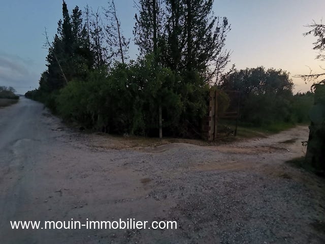 Vente&nbsp;Terrain&nbsp;HAMMAMET&nbsp;TUNISIE&nbsp;&nbsp;