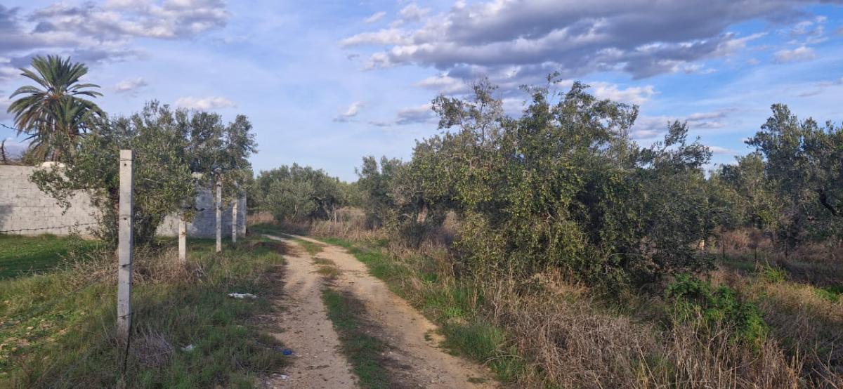 Vente&nbsp;Terrain&nbsp;HAMMAMET&nbsp;TUNISIE&nbsp;&nbsp;