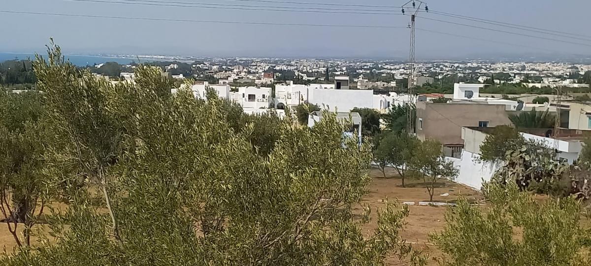 Vente&nbsp;Terrain&nbsp;HAMMAMET&nbsp;TUNISIE&nbsp;&nbsp;