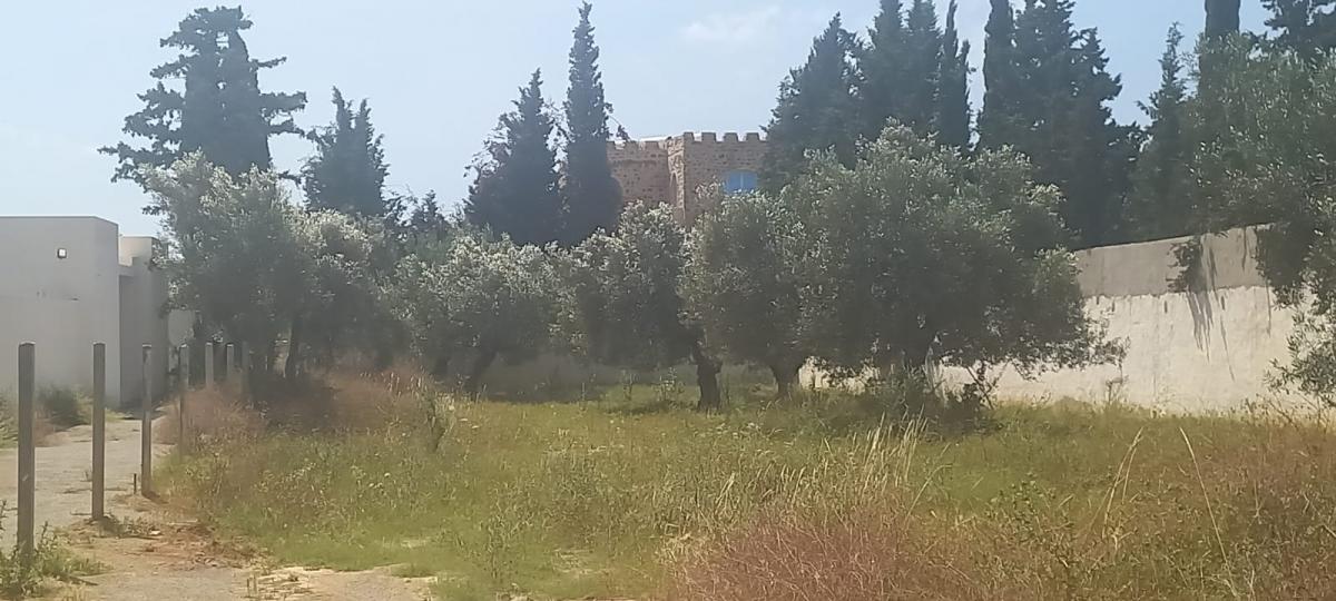 Vente&nbsp;Terrain&nbsp;HAMMAMET&nbsp;TUNISIE&nbsp;&nbsp;