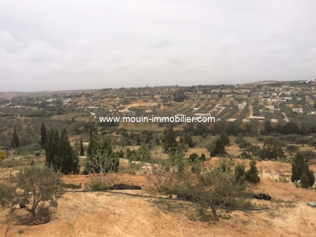 Vente&nbsp;Terrain&nbsp;HAMMAMET BIRBOUREGBA&nbsp;TUNISIE&nbsp;&nbsp;