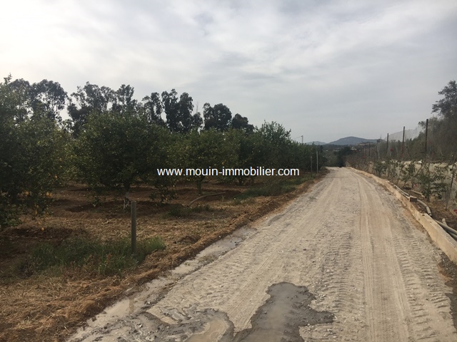 Vente&nbsp;Terrain&nbsp;HAMMAMET BIRBOUREGBA&nbsp;TUNISIE&nbsp;&nbsp;