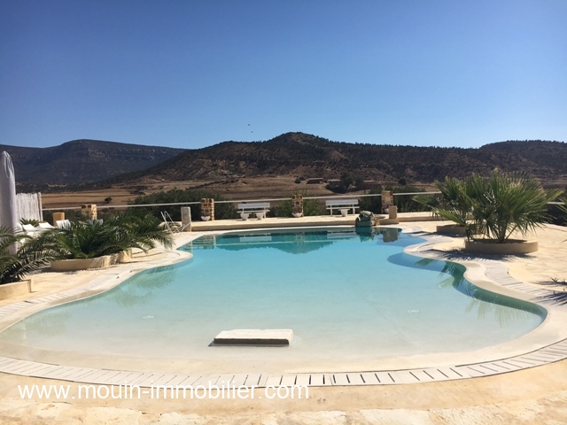 Vente Terrain HAMMAMET BIRBOUREGBA TUNISIE  