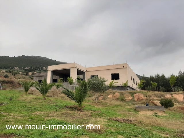 Vente&nbsp;Terrain&nbsp;HAMMAMET BOUARGOUB&nbsp;TUNISIE&nbsp;&nbsp;