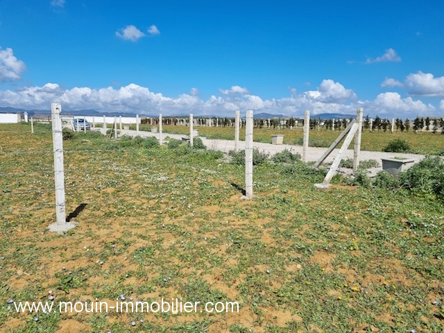 Vente&nbsp;Terrain&nbsp;HAMMAMET DWIKHLA&nbsp;TUNISIE&nbsp;&nbsp;