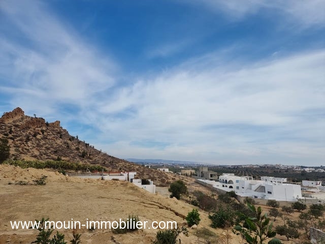 Vente Terrain HAMMAMET EL MONCHAR TUNISIE  